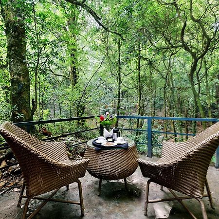 Ayar Jungle Resort Nainital Eksteriør billede