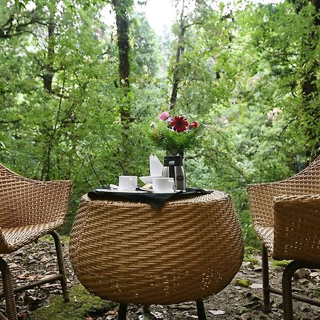 Ayar Jungle Resort Nainital Eksteriør billede