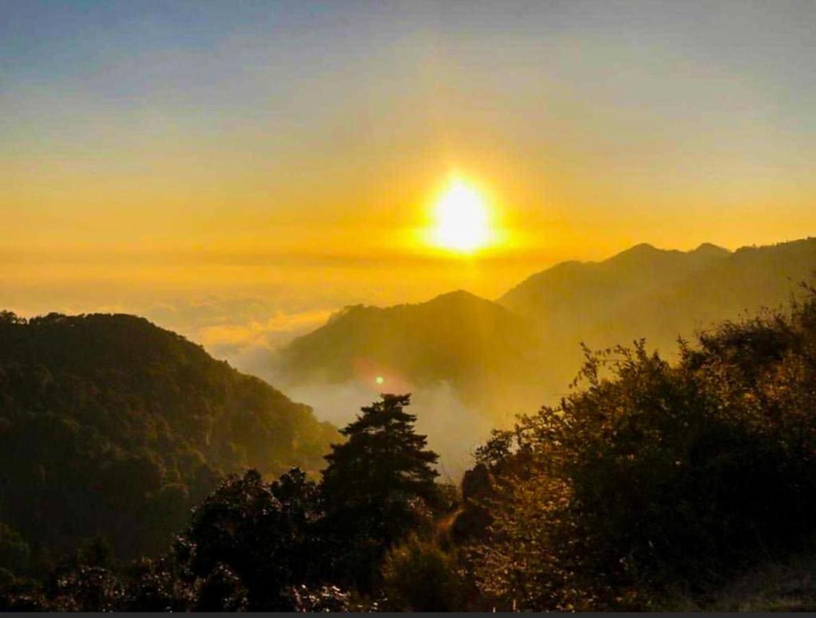 Ayar Jungle Resort Nainital Eksteriør billede