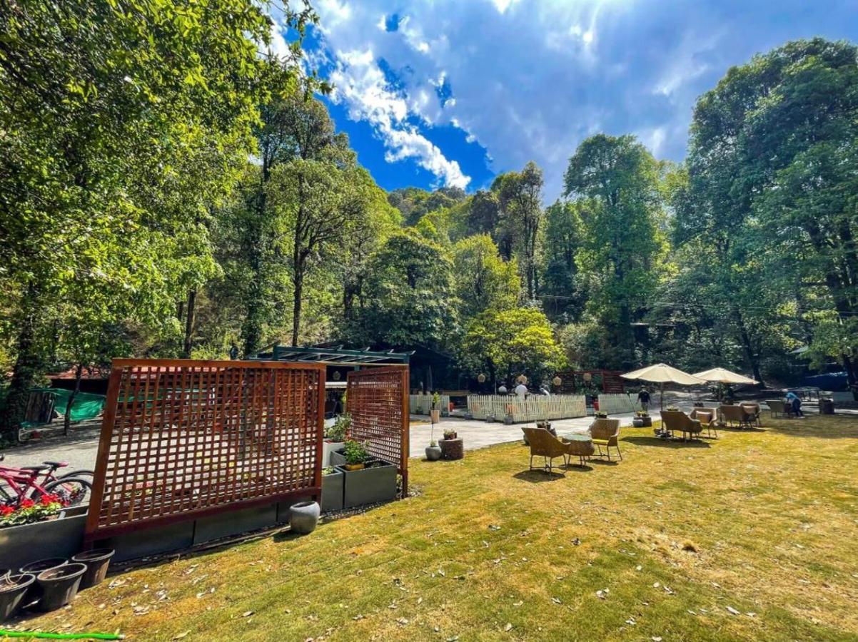 Ayar Jungle Resort Nainital Eksteriør billede