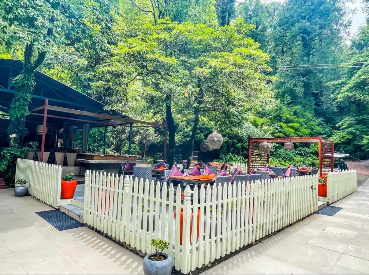 Ayar Jungle Resort Nainital Eksteriør billede