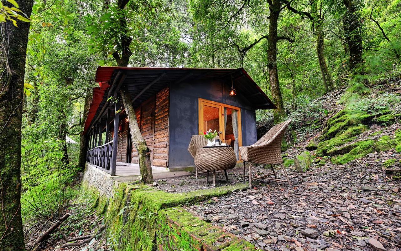 Ayar Jungle Resort Nainital Eksteriør billede