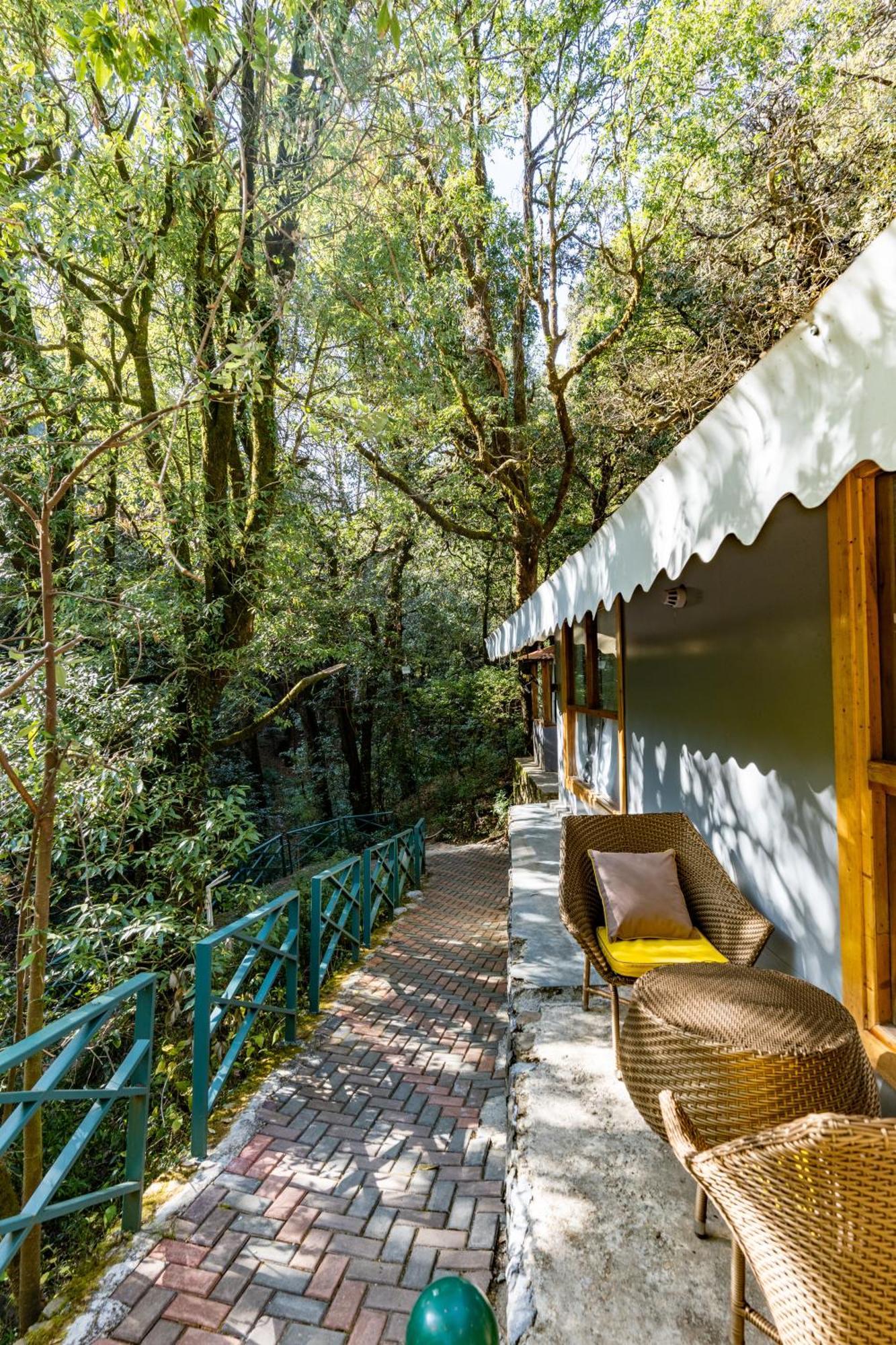Ayar Jungle Resort Nainital Eksteriør billede